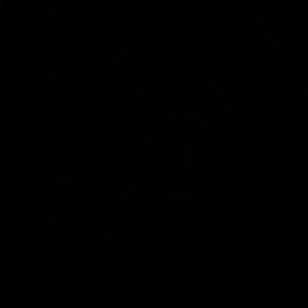 Meet your Posher, Rory